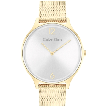 Ceas Calvin Klein Timeless Mesh 25200003