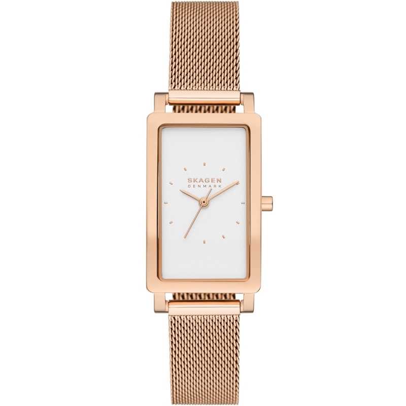 Ceas Skagen Hagen Three Hand SKW3095