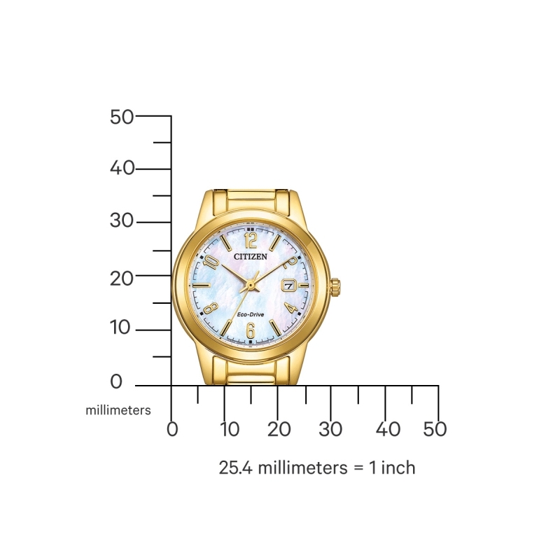 Ceas Citizen Eco-Drive FE1242-78D